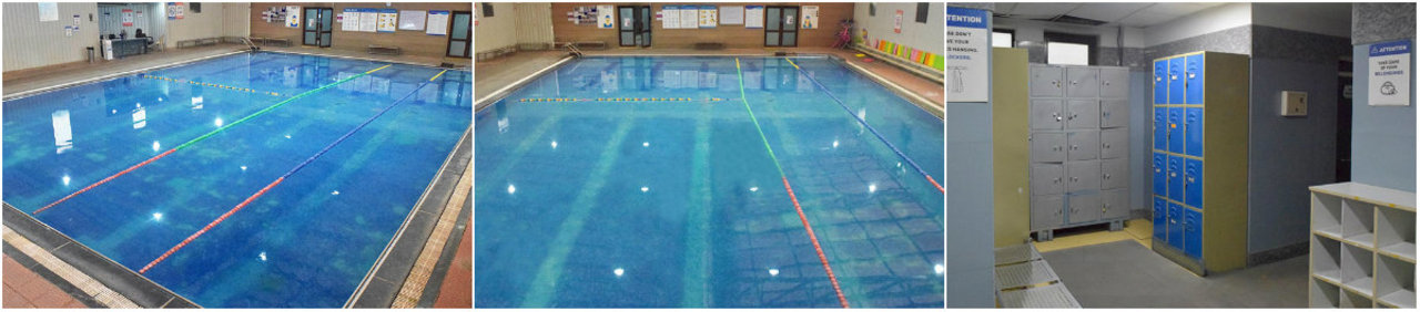 Offers On Best Swimming Classes In Sector 14 Gurgaon Gurgaon