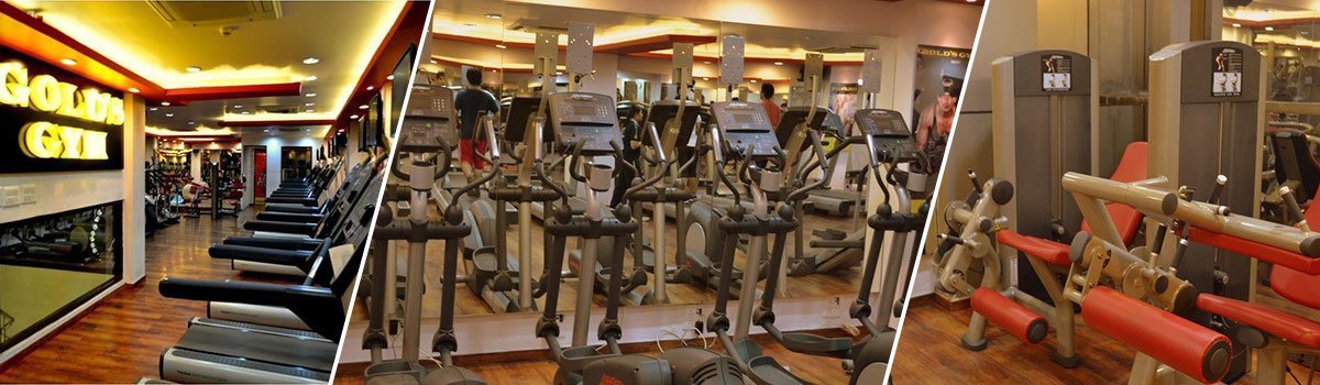 Gold's Gym Sector 14 Gurgaon Sector 14 - Live Classes | Fitternity